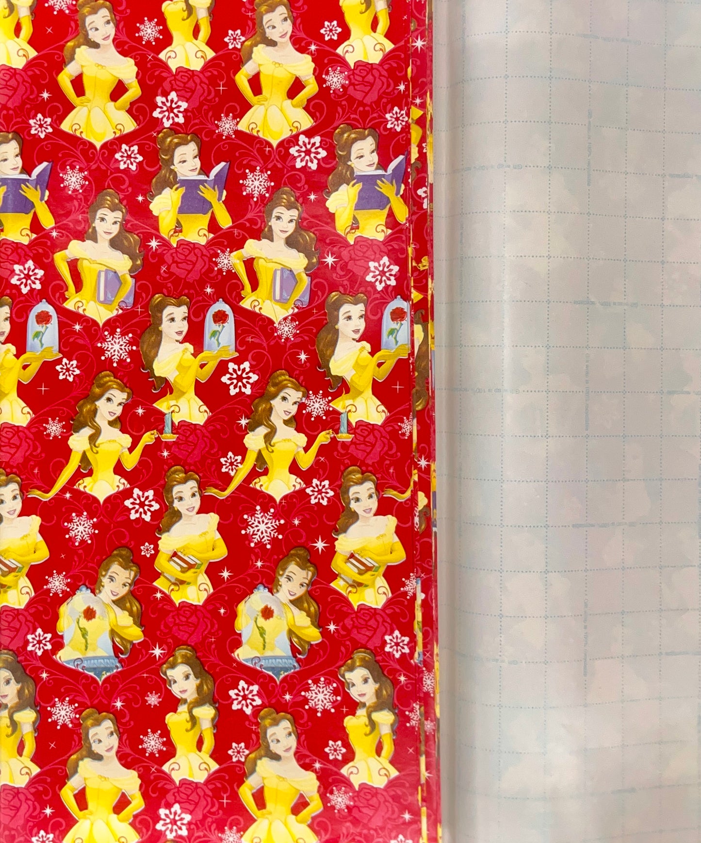 Cindrella Themed Gift Wrapping Paper